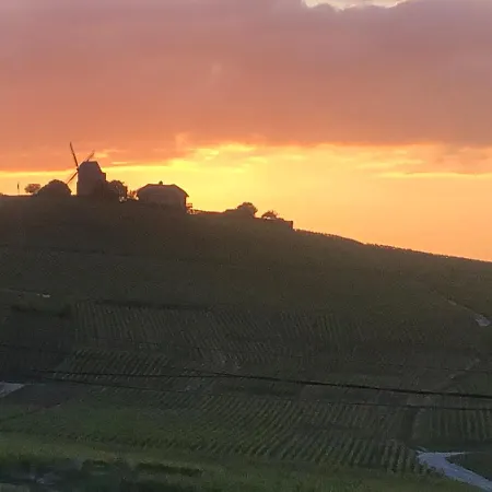 Apartament La Vigne En Rose